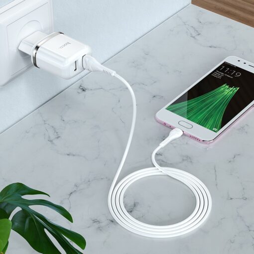 Laadija Hoco N4 12W 2xUSB-A + USB-A to MicroUSB cable 1.0m valge - Image 3
