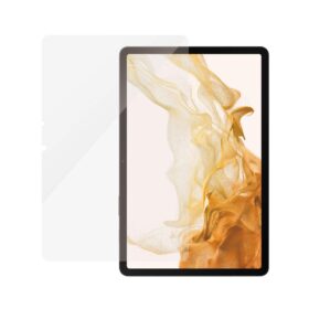 Kaitseklaas Samsung Galaxy Tab S9 / Tab S9 FE, PanzerGlass