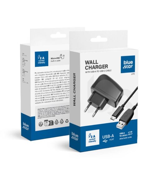 Charger Blue Star (TFK-TC-1095B) + cable "USB-C (Type-C)" 2A (10W) black