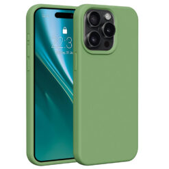 Etteri Silicone case for iPhone 15 Pro Max 6,7" light green