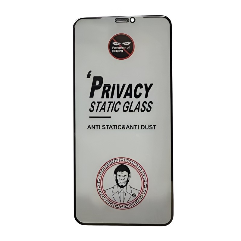 LCD kaitsev karastatud klaas ESD Anti-Static Privacy Samsung A165 A16 4G/A166 A16 5G/A175 A17 4G/A176 A17 5G